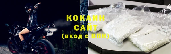 ALPHA PVP Ельня