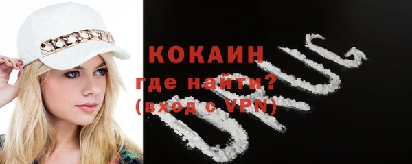 ALPHA PVP Ельня