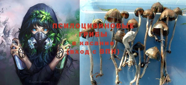 кристаллы Елабуга