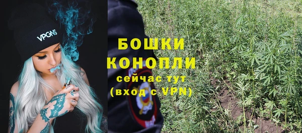бошки Елизово