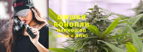 ALPHA PVP Ельня