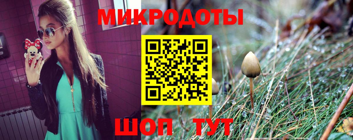 Псилоцибиновые грибы Magic Shrooms  Галлюциногенные грибы MAGIC MUSHROOMS  Заводоуковск  Вход с VPN 